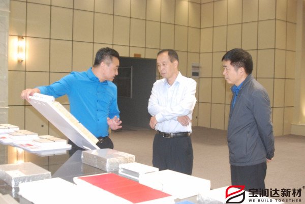 市產(chǎn)業(yè)集聚區(qū)冀偉主任來訪寶潤達(dá)參觀